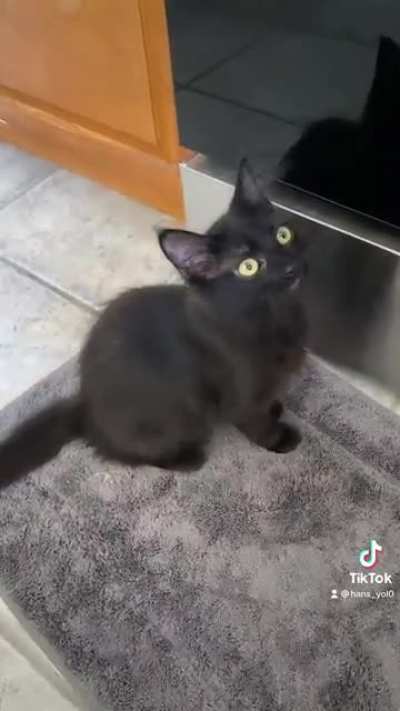 Kiki is demanding food as it&rsquo;s being platted. She&rsquo;s a little impatient void.
