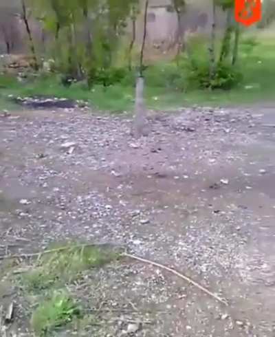 What the fuck was he expecting?