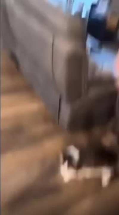 My toy&hellip;.it stuck(not my oc)