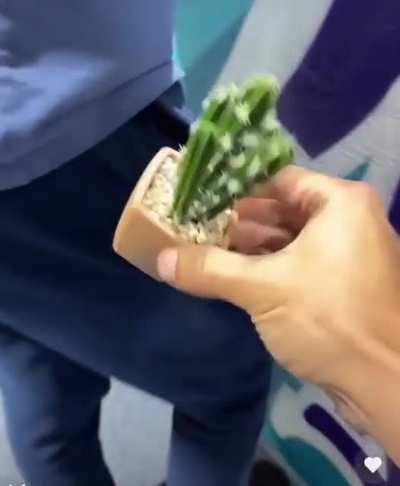 Prickpocketing