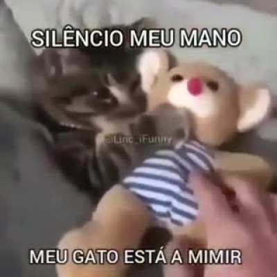a mimir?