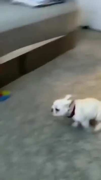 Maybe maybe maybe