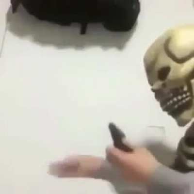brain.exe has stopped working