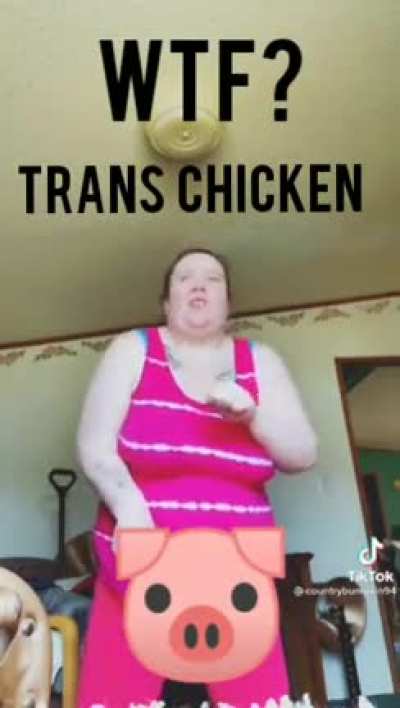 Trans Chicken