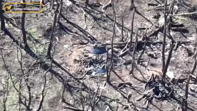 Ukrainian soldier clearing a foxhole with what seems to be a satchel charge 