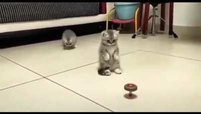 Noo, please don&rsquo;t touch