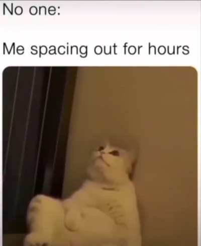me_irl