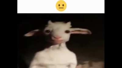 😐