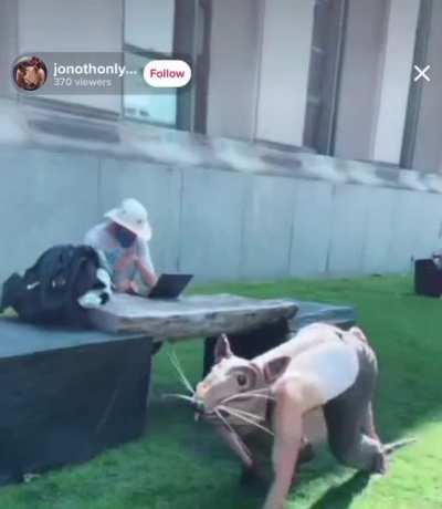 Rat Man of New York