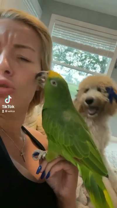 I&rsquo;m jealous