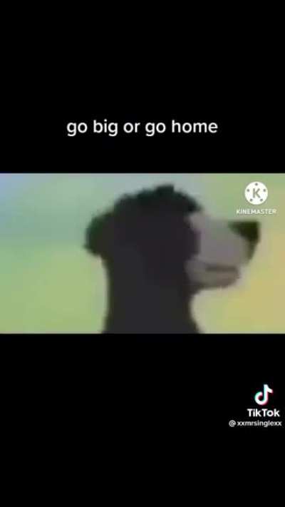 Bear song