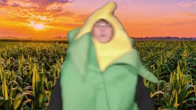 corn