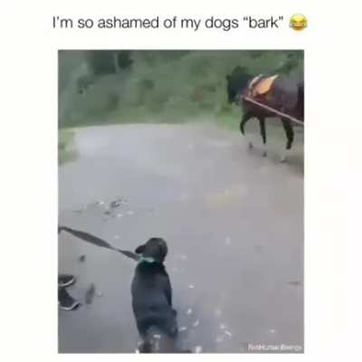 The horror 