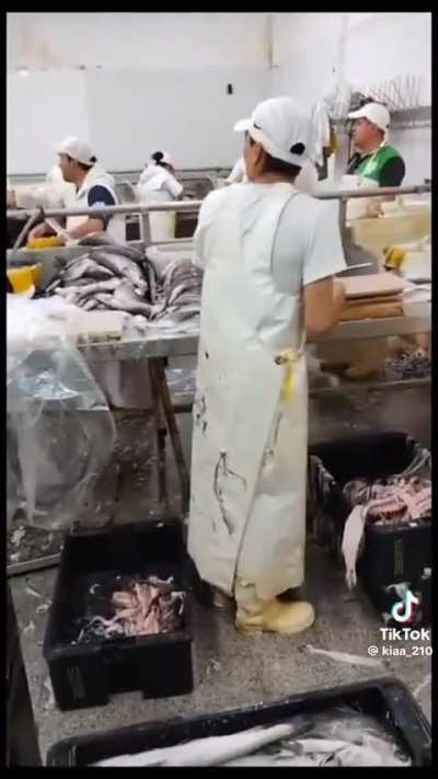 Charla pol&iacute;tica en una pescader&iacute;a con plot twist