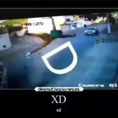 XD