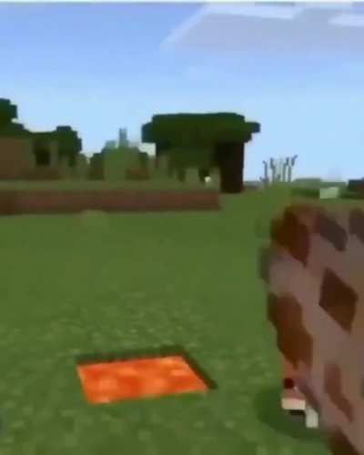Minecraft foxes are the best