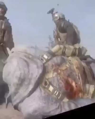 F