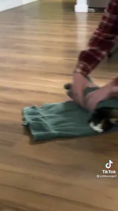 Murder burrito does NOT want her nails clipped (wait for the end)