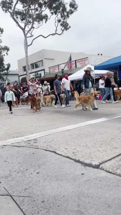 Golden&rsquo;s on Parade