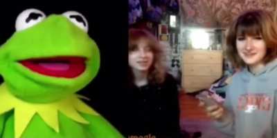Bad Kermit