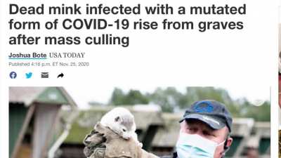 Mutant mink zombies 2020