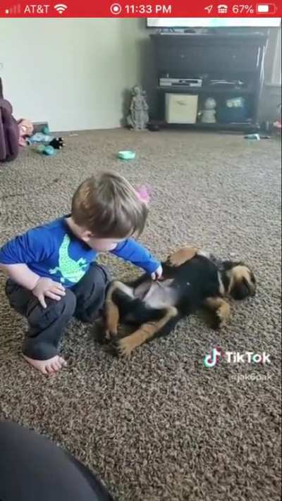 Poor dog!!!