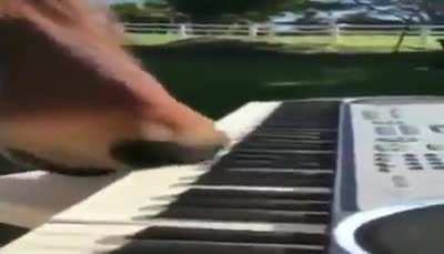 Honse playing piano