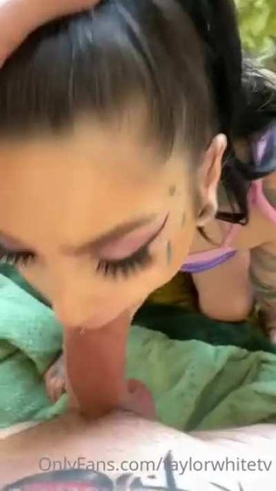 Not sure if this was posted before or not