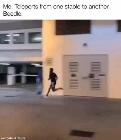 If he wasn&rsquo;t to frickin OBSESSED with beetles he could go save hyrule.