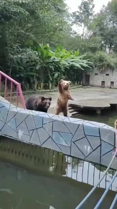 Huh?