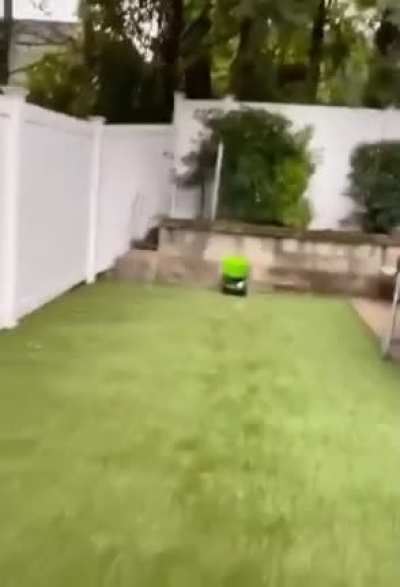 The Perfect Dog Toy :)