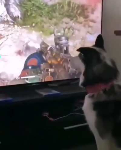 I... I can explain.