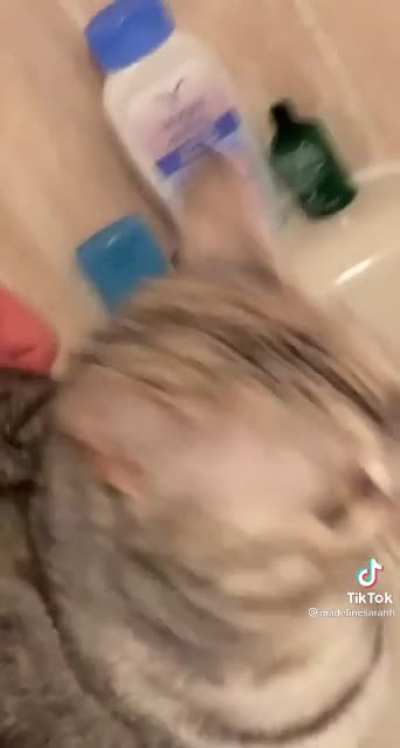 Found on TikTok