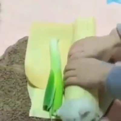 Janta