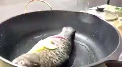 I finally found the perfect sub for this