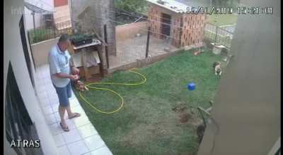 How to kill an ant colony in a "Ji Ji Ji" way