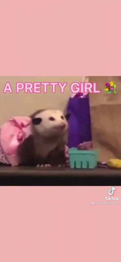 🤎