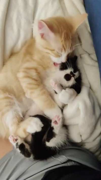 So Precious &hearts;️