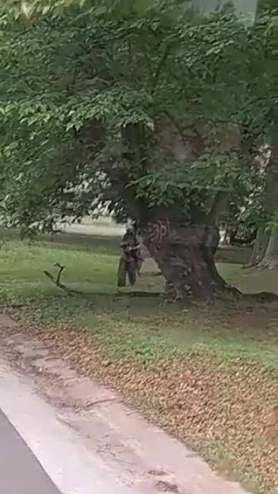 Georgia High-school Freshman tries to take Assault Rifle on school bus so he can &ldquo;shoot up the school&rdquo;