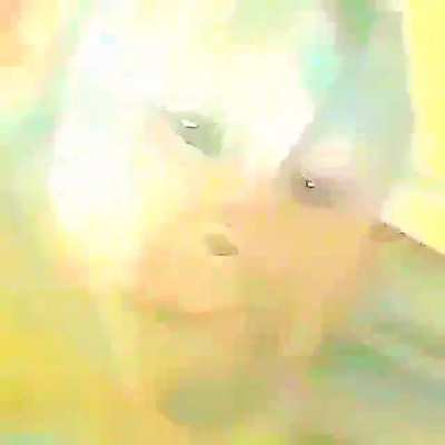 Monkey Flip