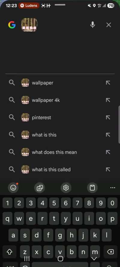 How do I stop google from searching the image if I just want to ask a question or set a timer?