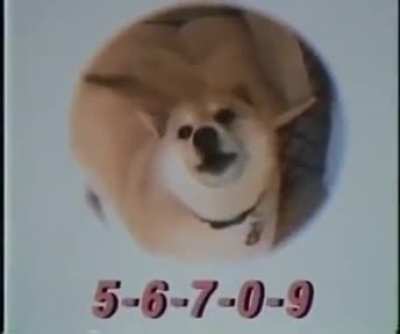5 - 6 - 7 - 0 - 9
