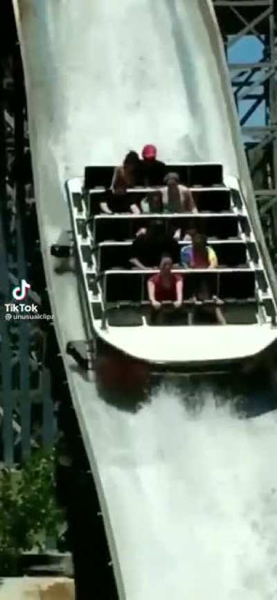 What was that scream?