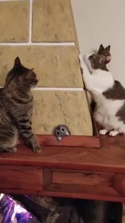 Mission failed, we&rsquo;ll get em next time