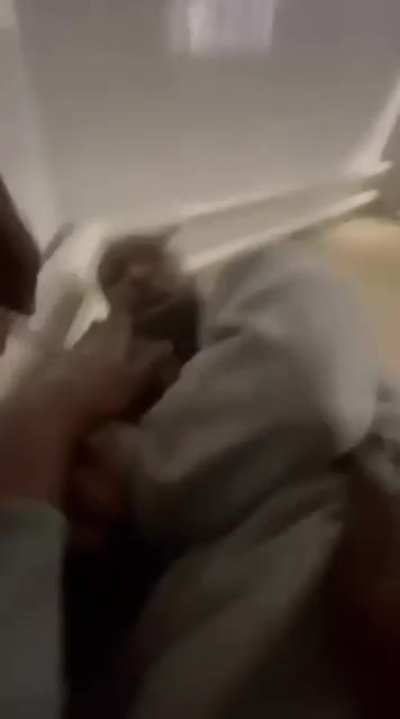 The video that everyone wants to see