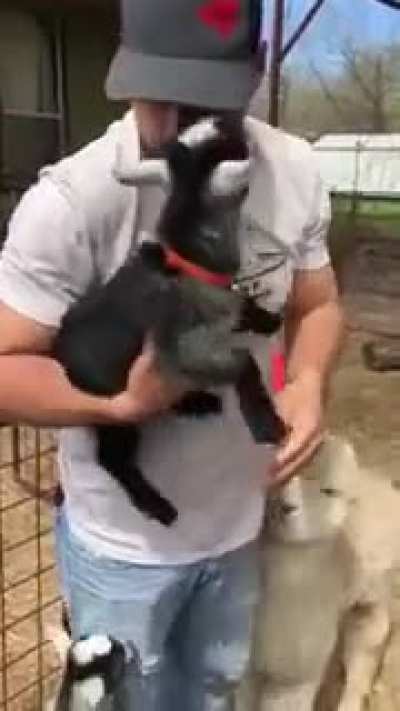 Melhore o seu dia em 300% nesse v&iacute;deo!!!
