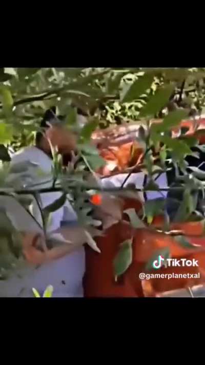 M&aacute;s gente as&iacute; 😆