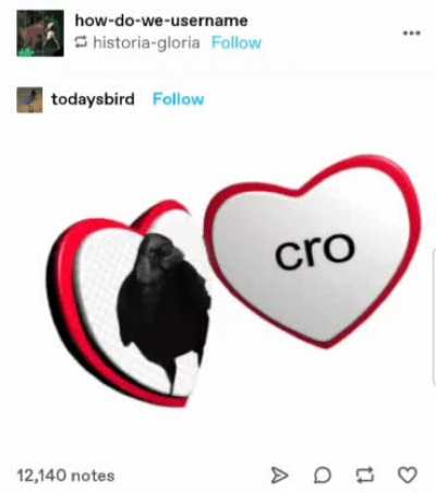 Cro❤️