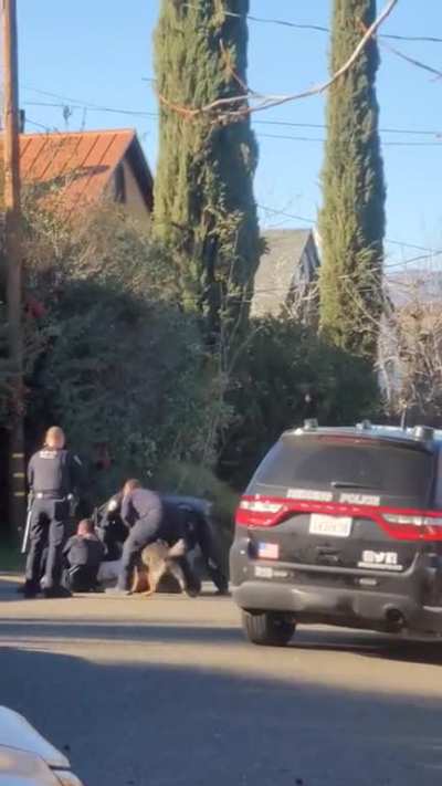 8+ Redding CA police officers brutalize man. Attack him with K-9 and stomp on his head.