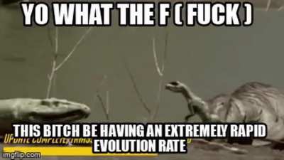I saw this without sound and I had to fix it!